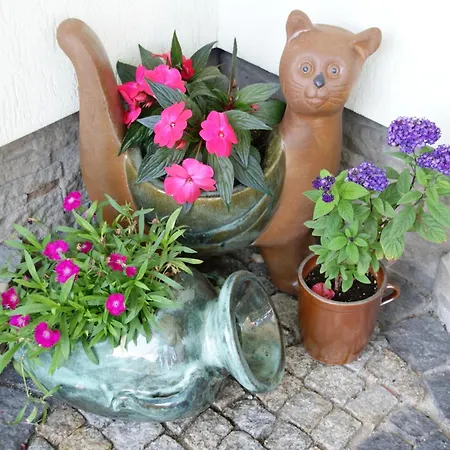 Bed and breakfast Stareczka