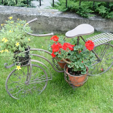Bed & Breakfast Stareczka - Z Balkonami I Widokiem Na Dobry Dzien, Zabierz Pupila