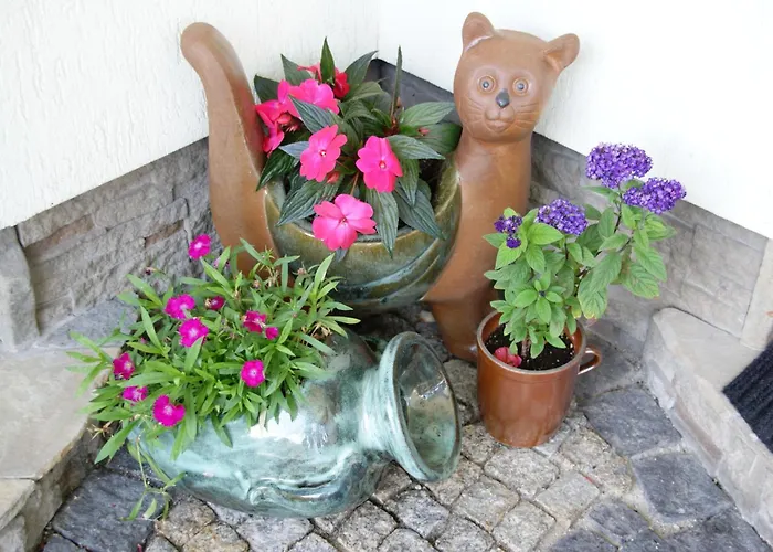 Bed & Breakfast Willa Stareczka - Regionalny Wystroj, Domowa Atmosfera