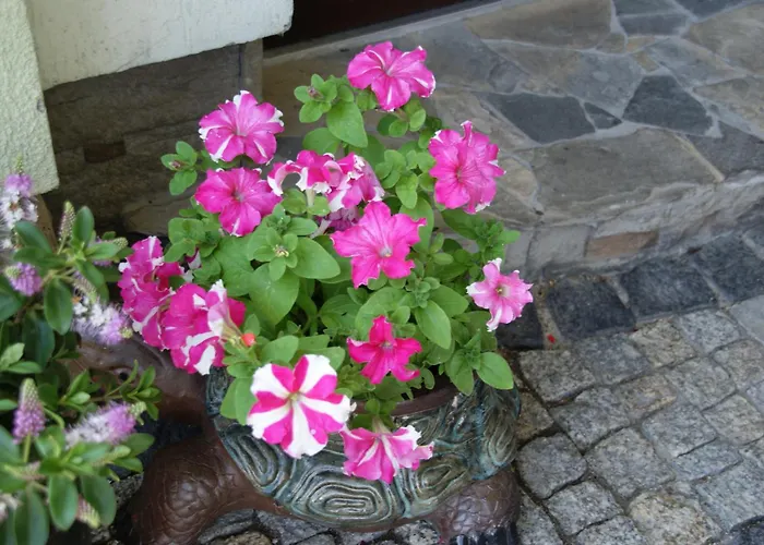 Stareczka - Regionalny Wystrój, Domowa Atmosfera Wisła