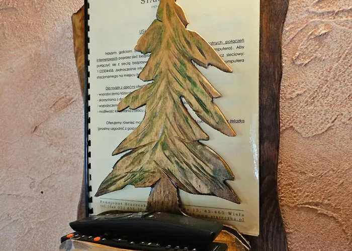 Willa Stareczka - Regionalny Wystroj, Domowa Atmosfera Wisla